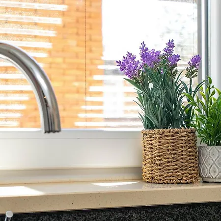 Vale Da Ribeira - Casa Serenidade