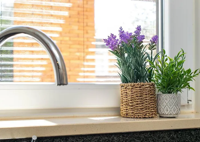 Vale Da Ribeira - Casa Serenidade